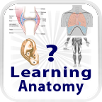 Learning Anatomy Quiz Mobile App